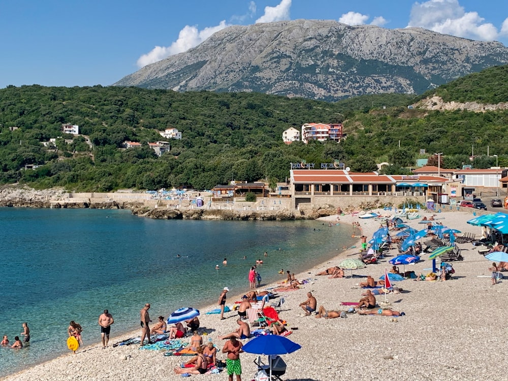 people on beach during daytime