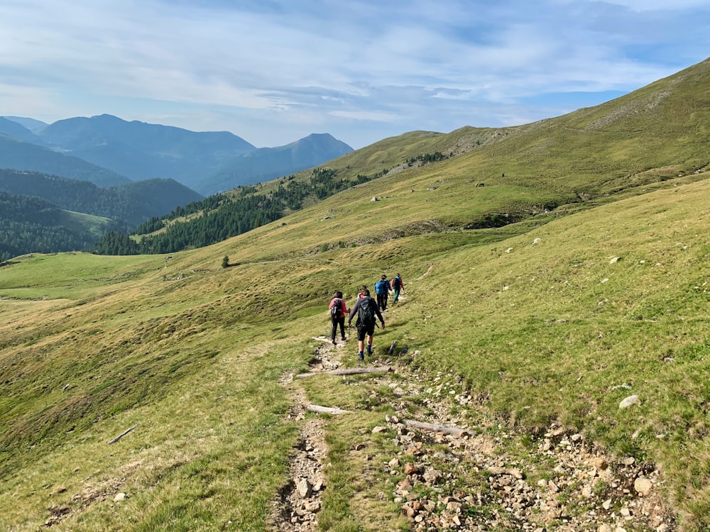 people hiking on green grass field during daytime