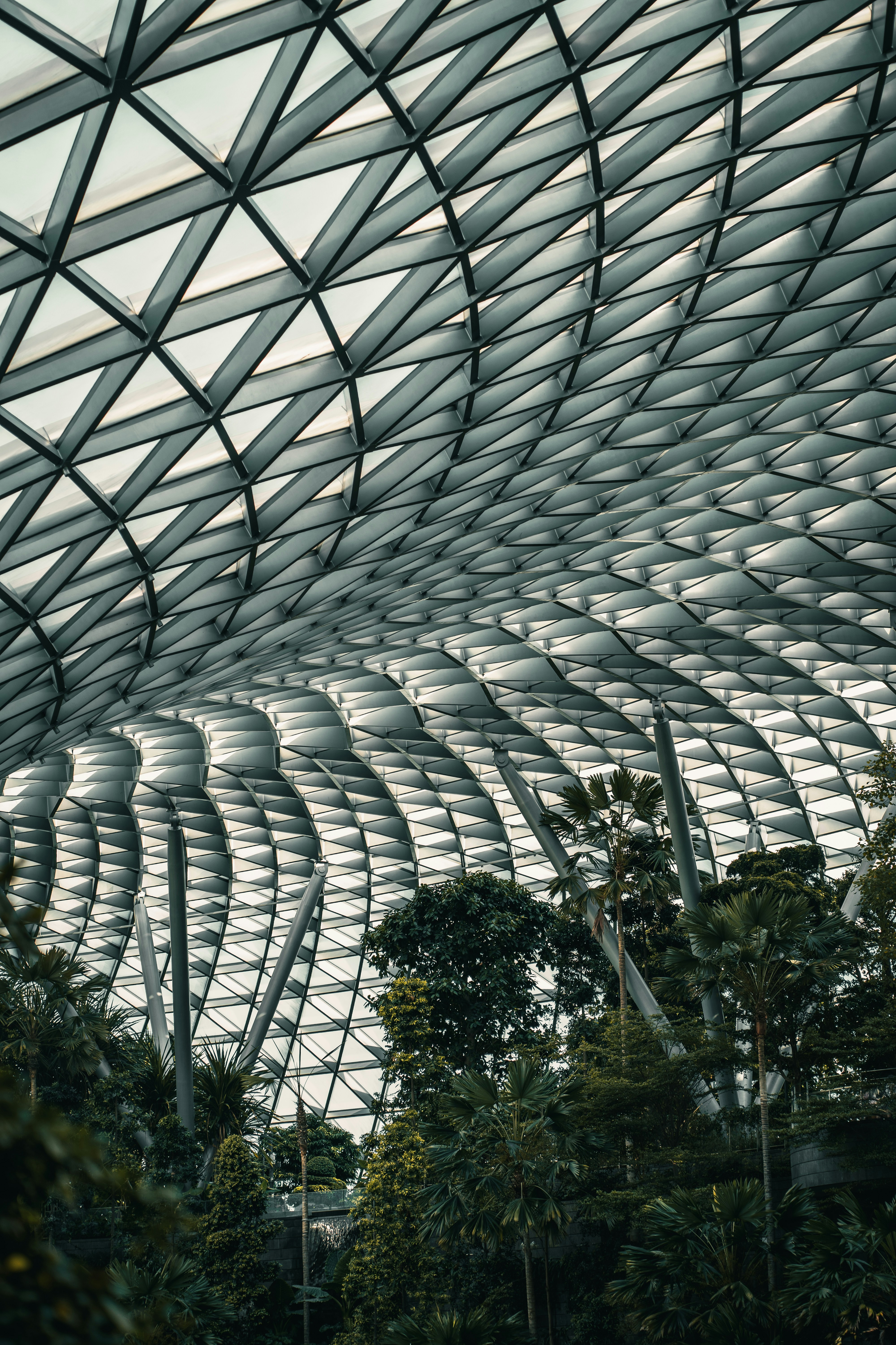 Photo by albertvincentwu