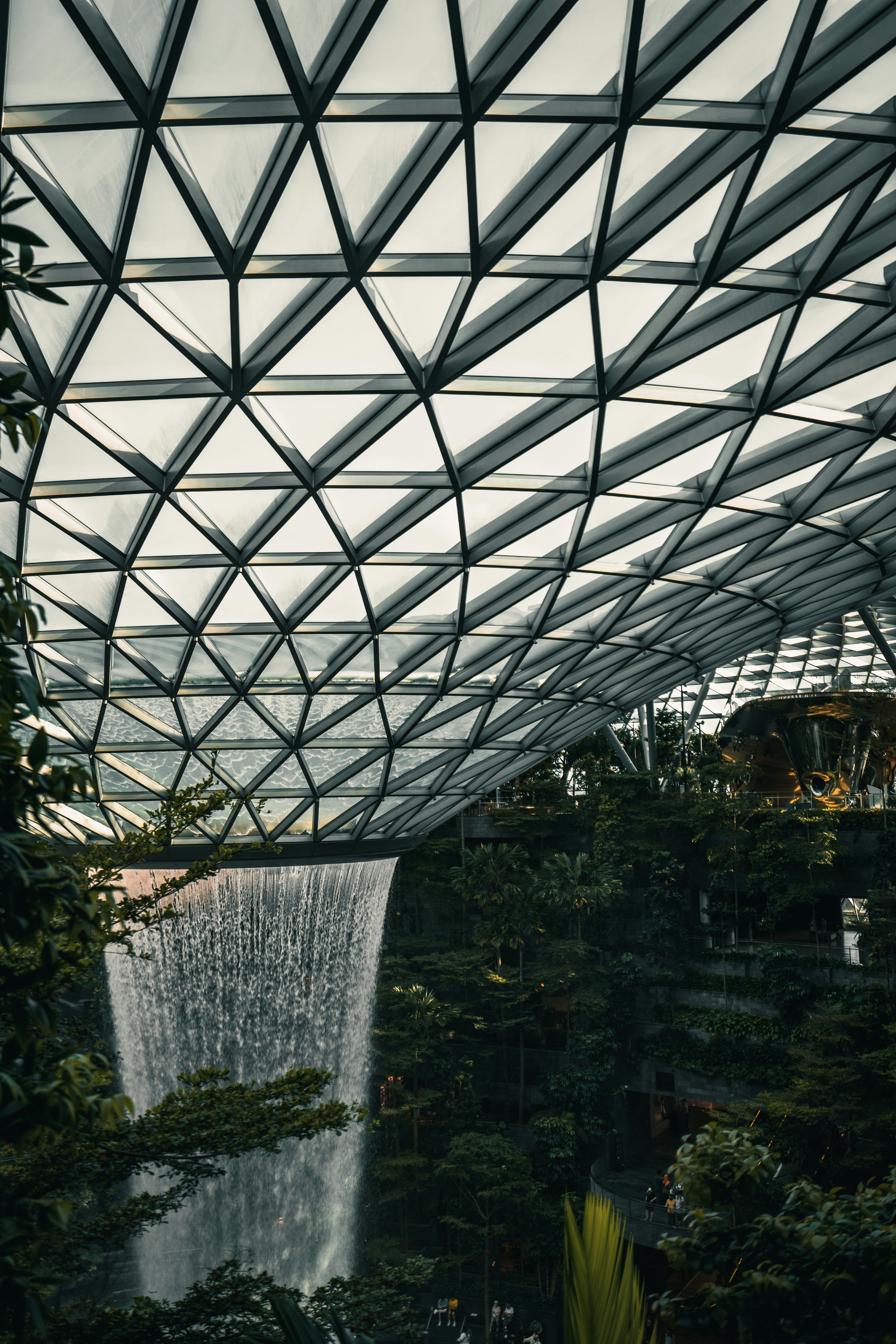 Photo by albertvincentwu