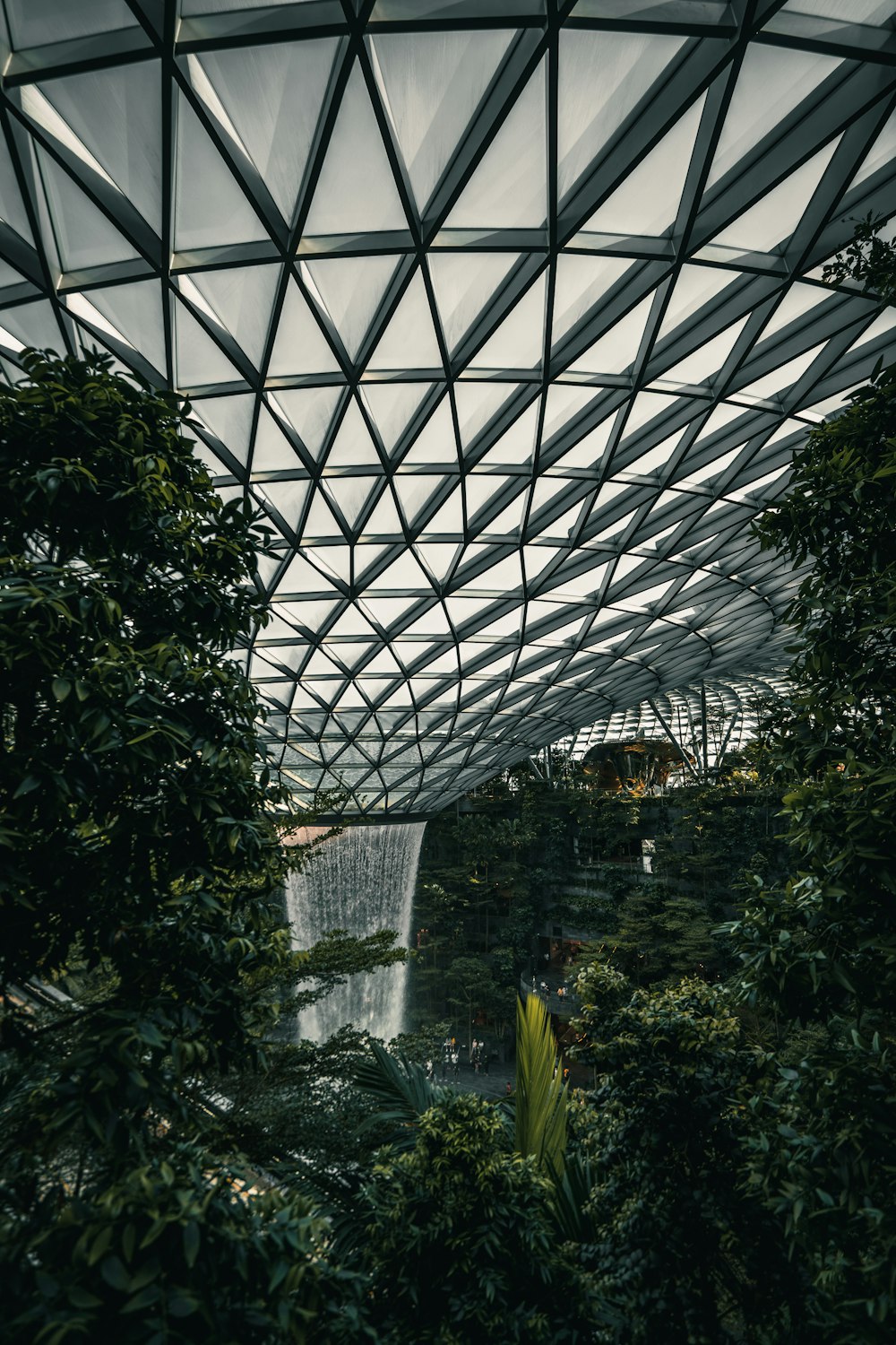 green plants and trees inside building