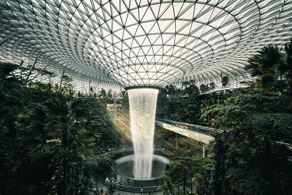 water fountain in the middle of garden