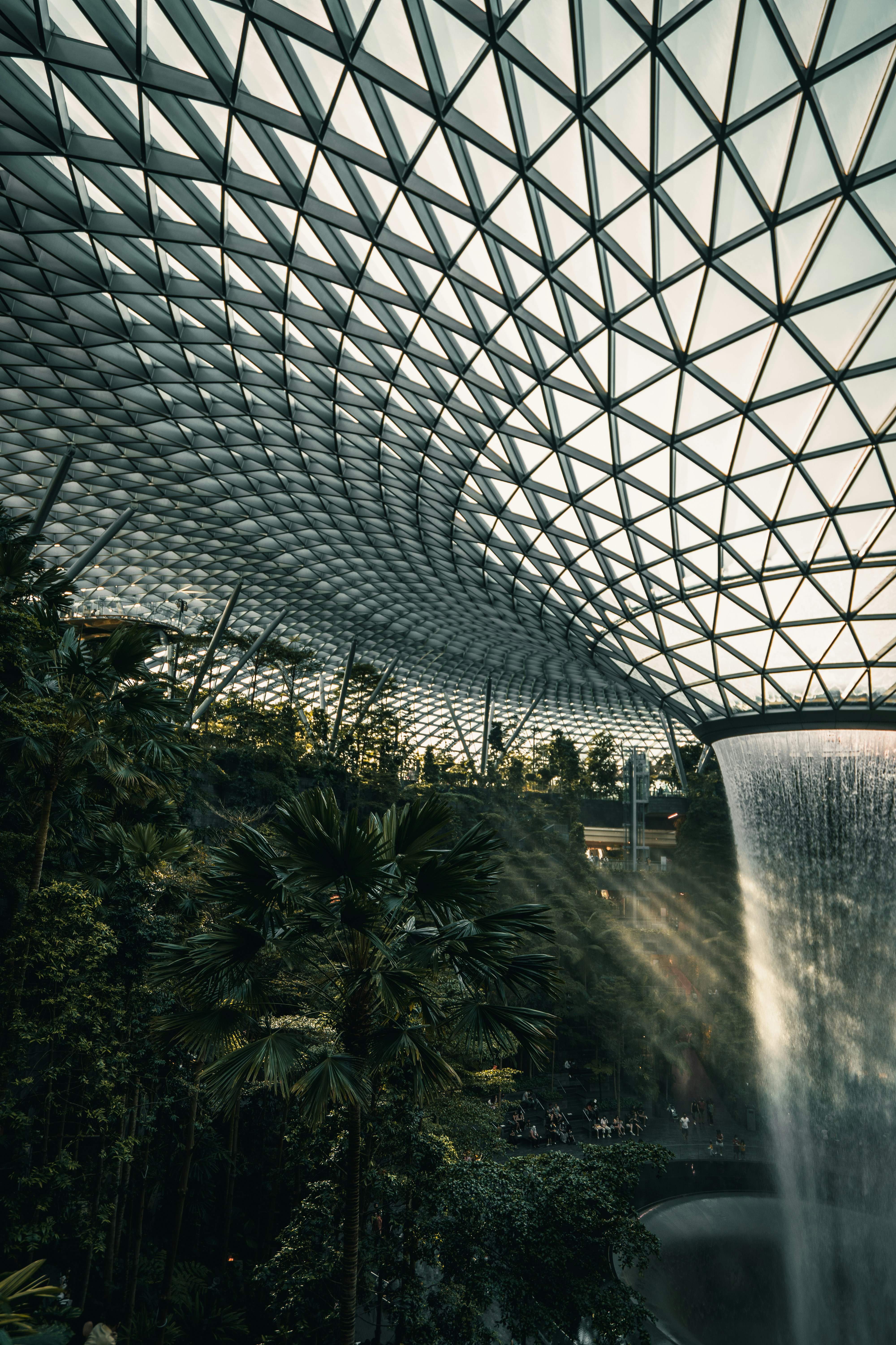 Photo by albertvincentwu