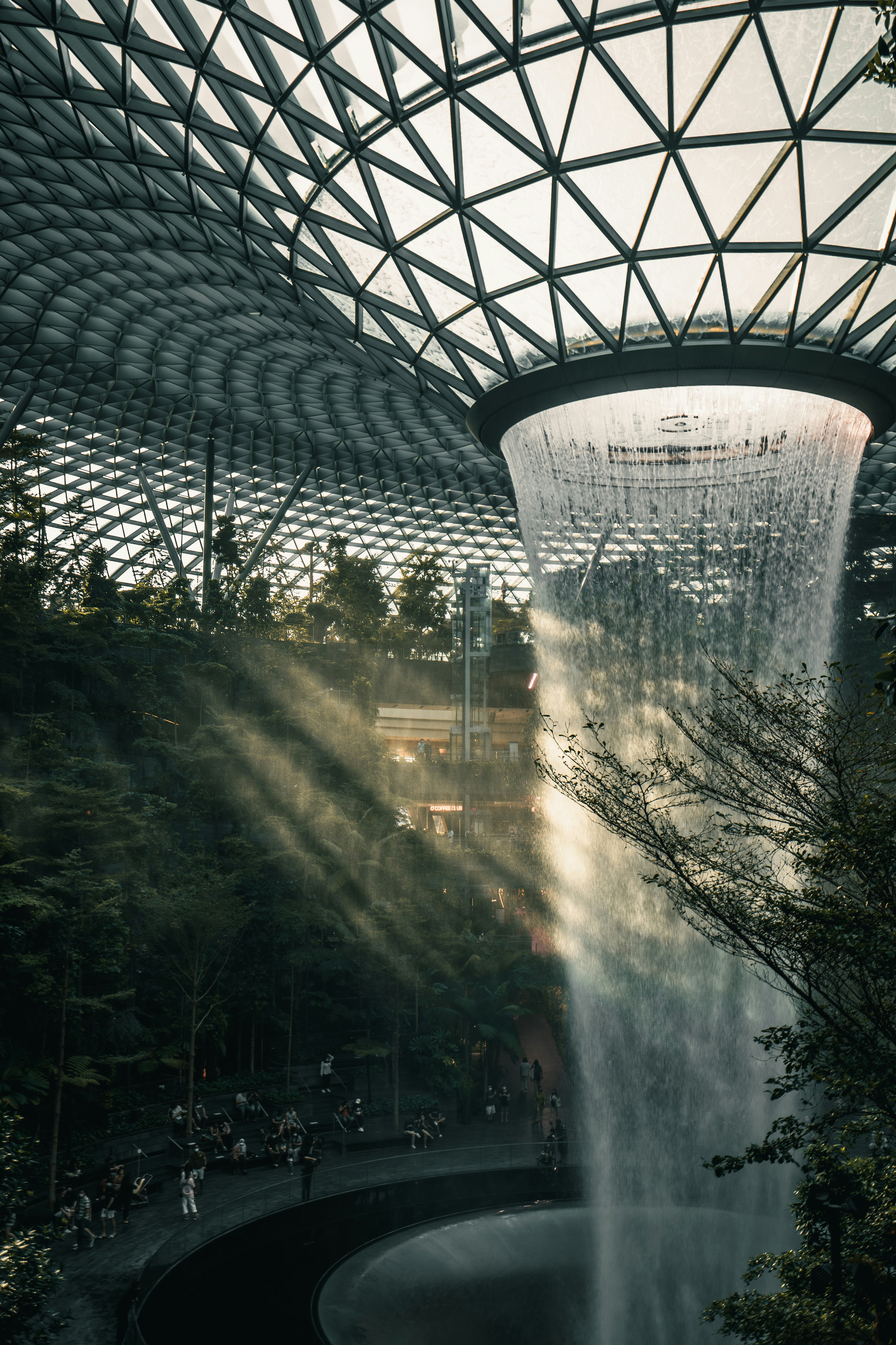 Photo by albertvincentwu