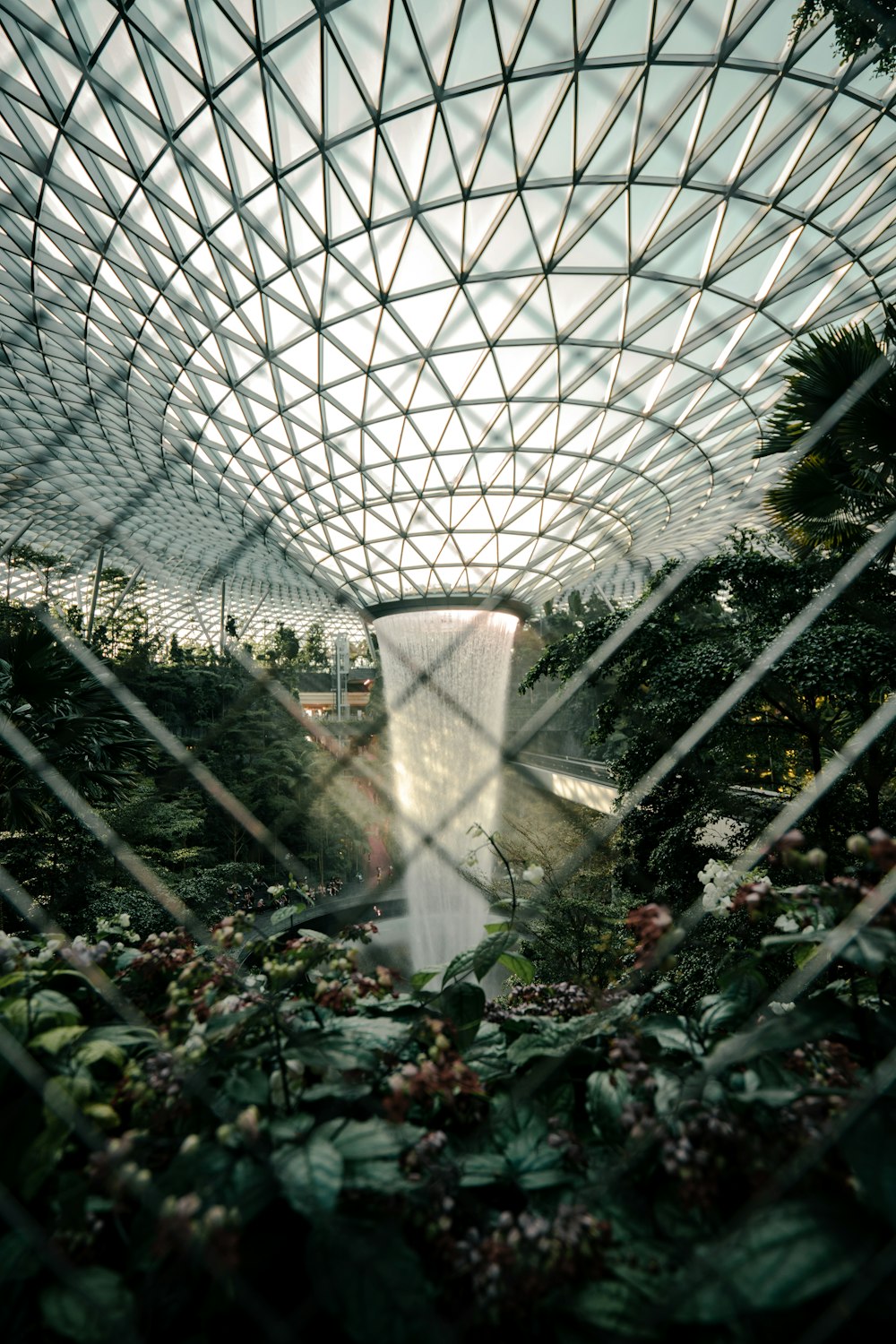 green plants and trees inside greenhouse