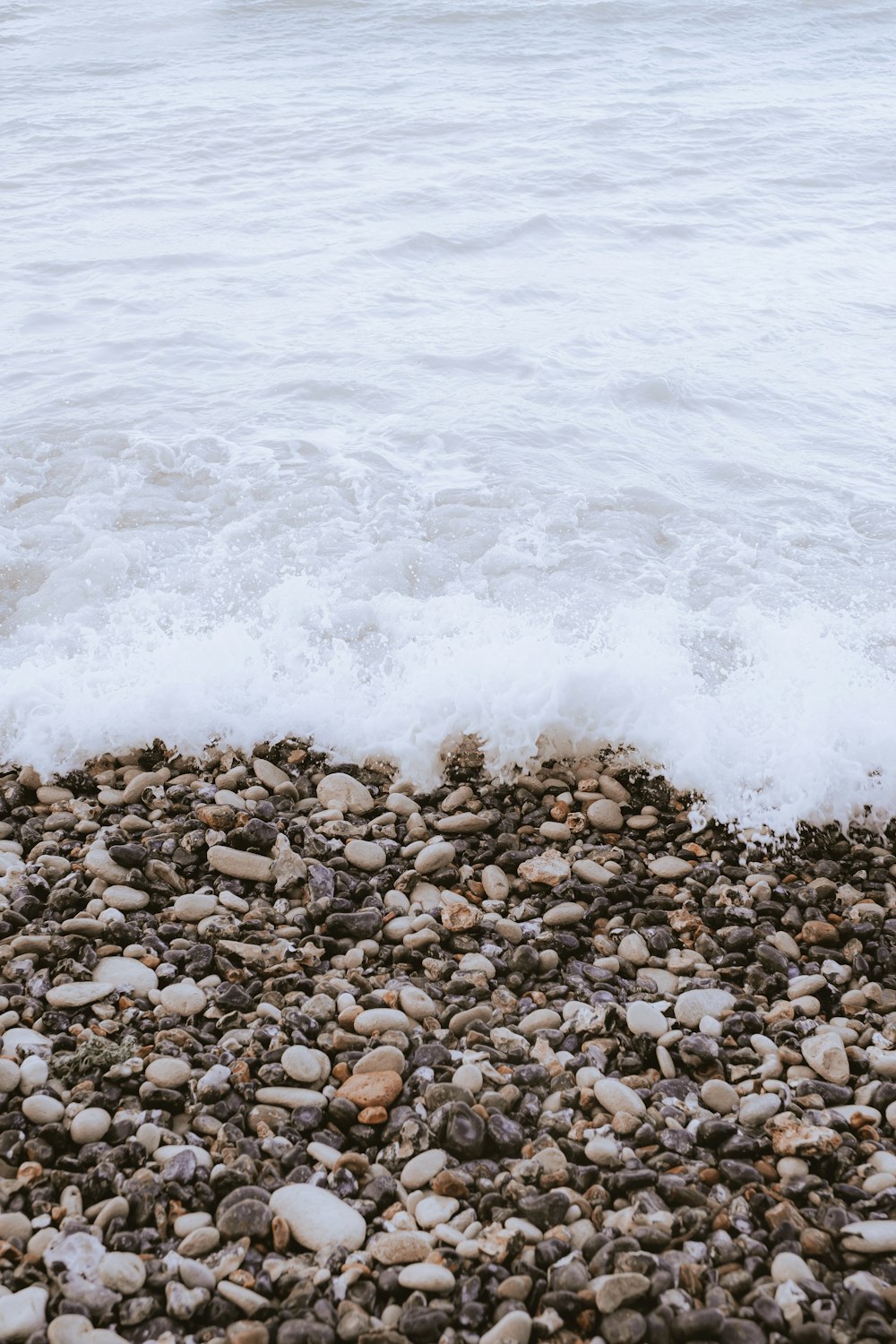 brown and black stones on seashore during daytime