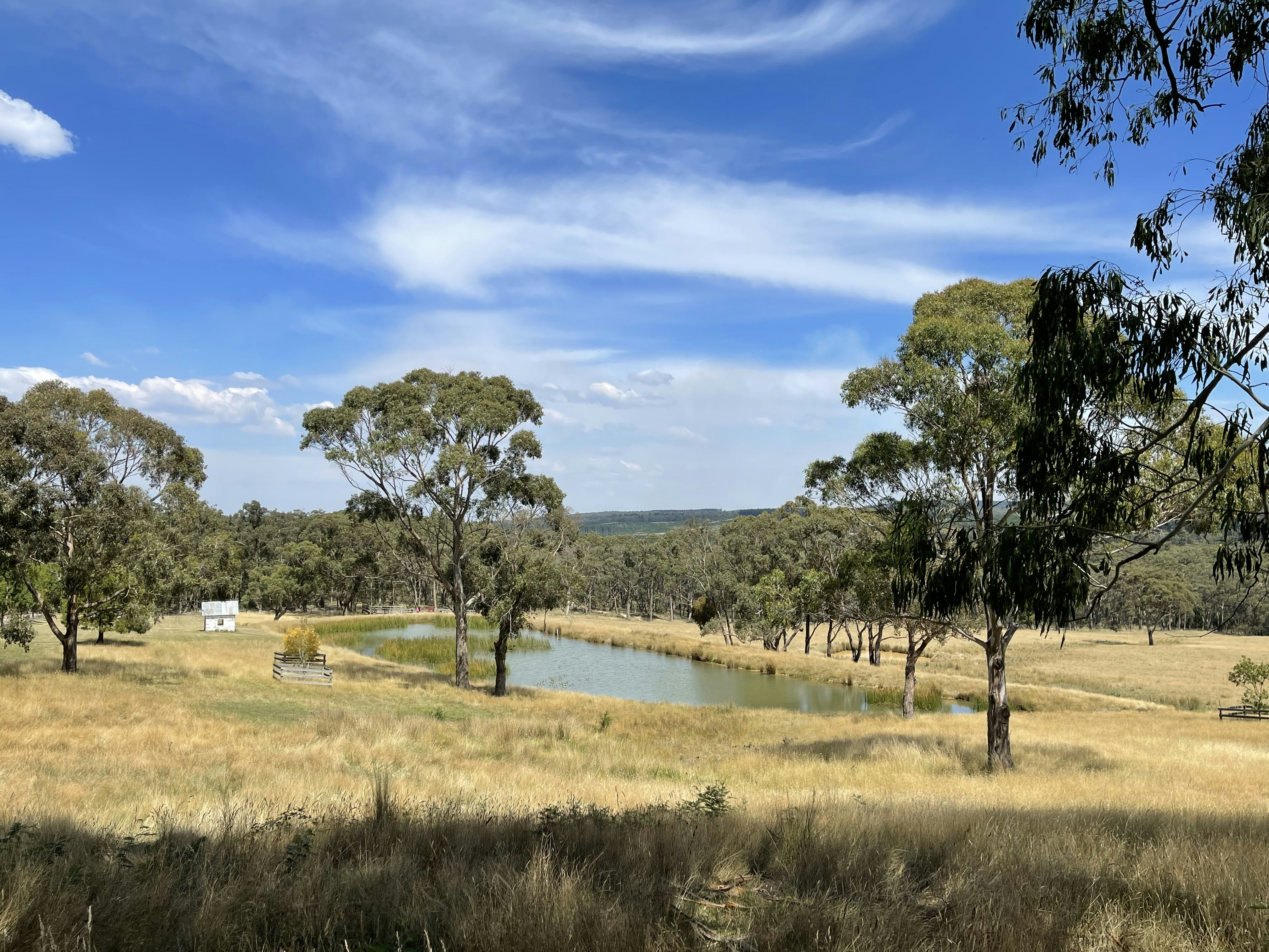 Wagin, Western Australia