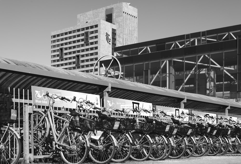 grayscale photo of bicycles parked near building