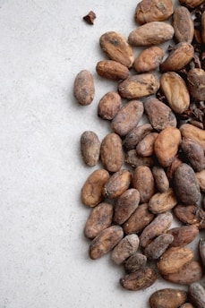 A collection of dry cocoa beans scattered on a light gray surface, displaying textures and natural imperfections.