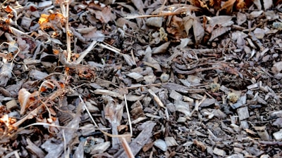 A close-up view of a ground surface covered with wood chips and dry leaves. The texture appears uneven with a mix of small branches and twigs scattered across the ground. The wood chips and leaves vary in size and shape, creating a natural and rustic look.