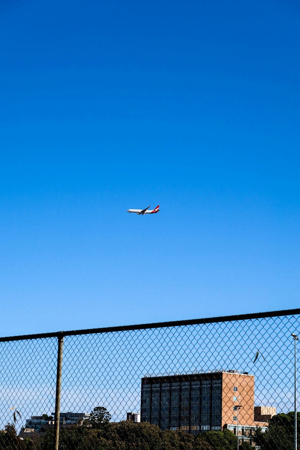 white and black bird flying over the white and black net during daytime