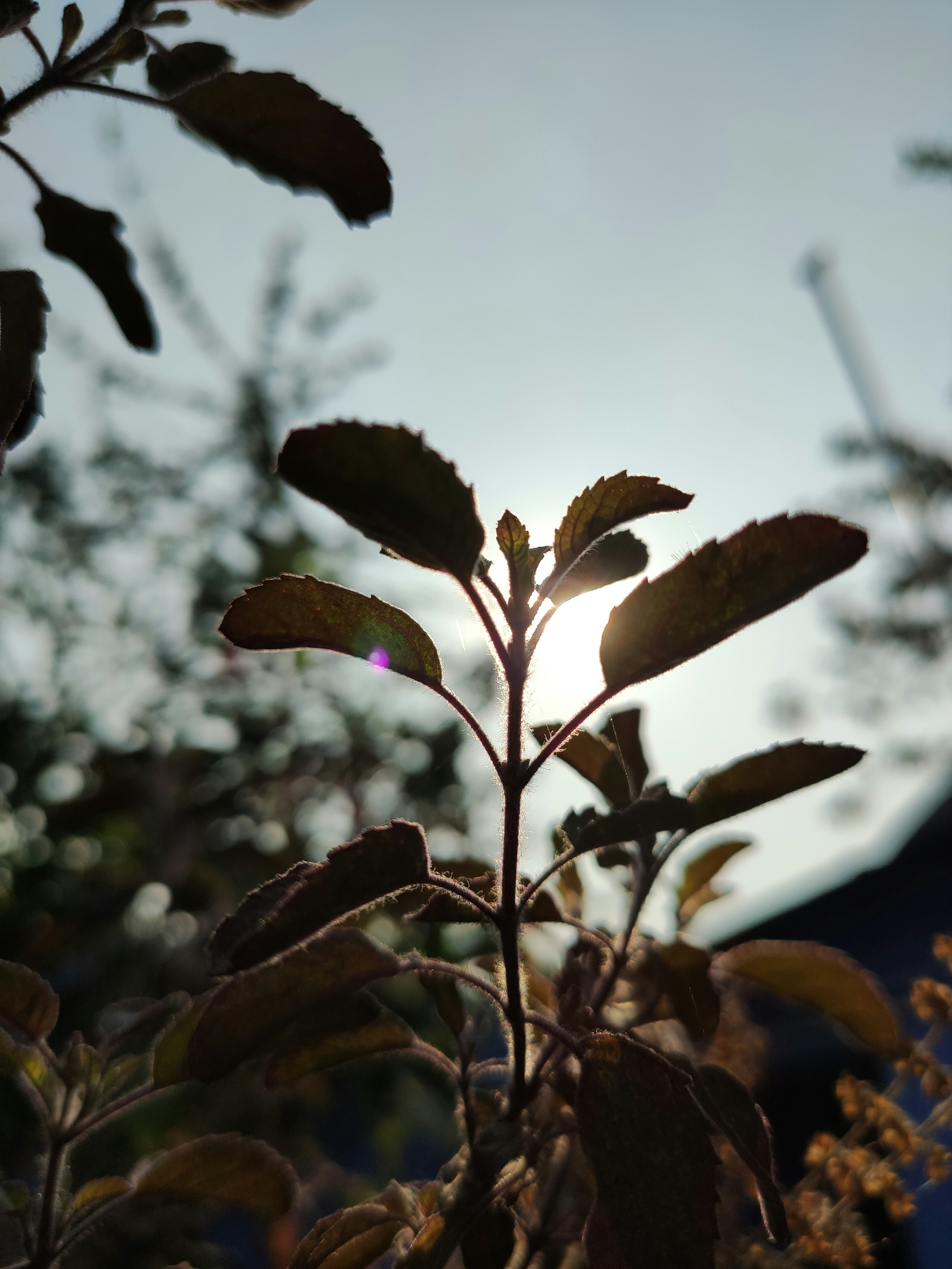 Photo by abhishubham