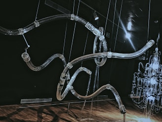 An installation showcasing siphonic plumbing in action.