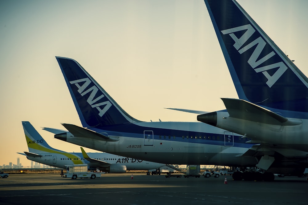 blue and white airplane on airport during daytime