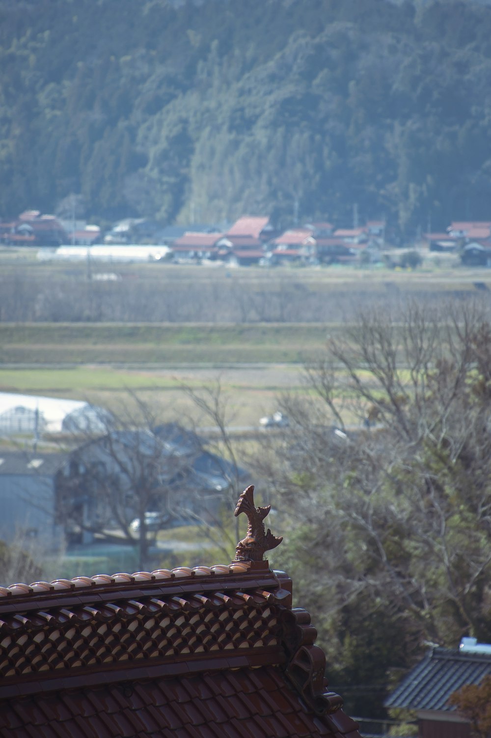 green trees and brown roof