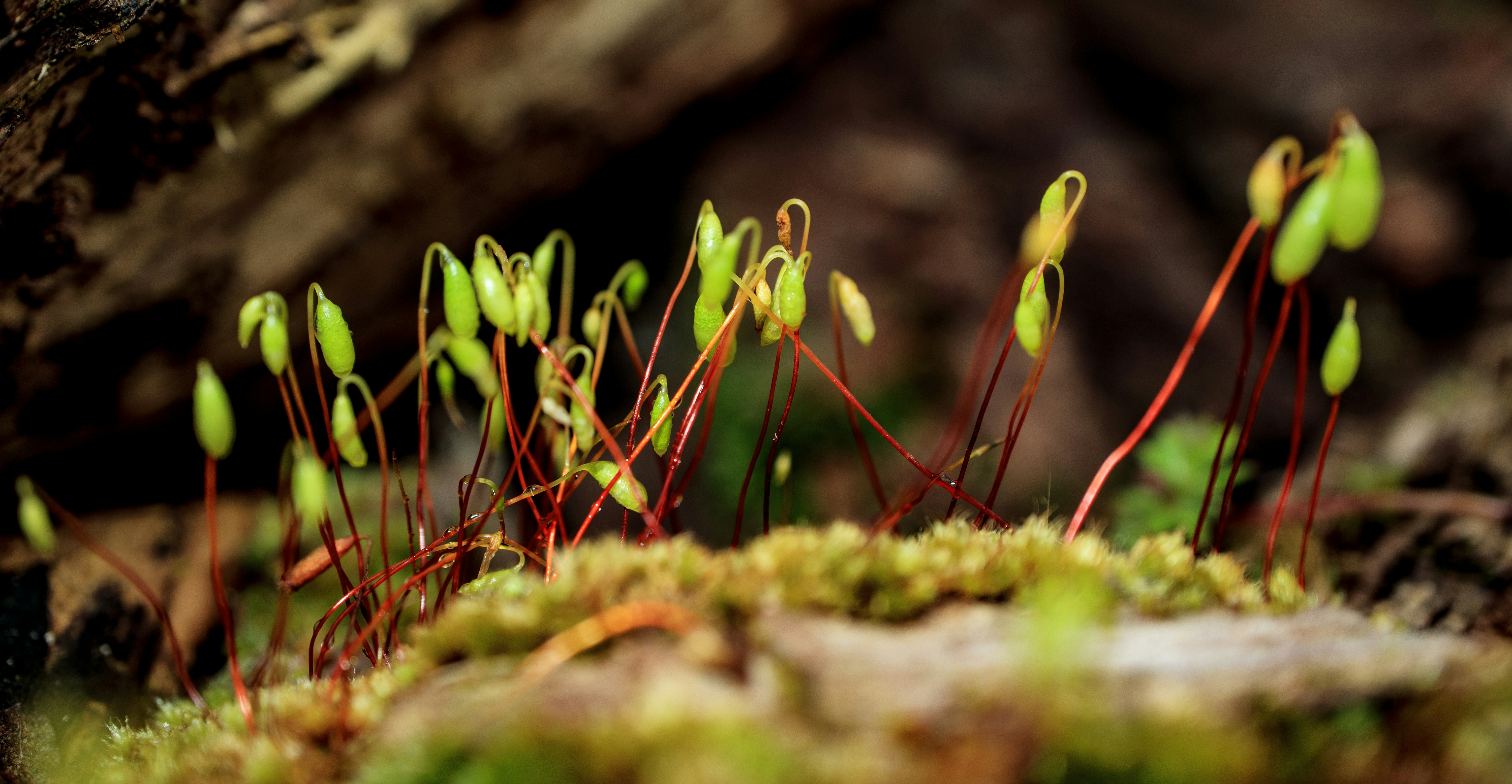 Photo by grievek1610begur