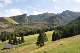 A serene landscape featuring a rolling green meadow bordered by dense pine forests. In the background, a range of majestic mountains rises under a partly cloudy sky. A rustic wooden cabin is nestled in the meadow, adding a touch of tranquility to the scene.