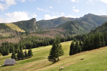 A serene landscape featuring a rolling green meadow bordered by dense pine forests. In the background, a range of majestic mountains rises under a partly cloudy sky. A rustic wooden cabin is nestled in the meadow, adding a touch of tranquility to the scene.