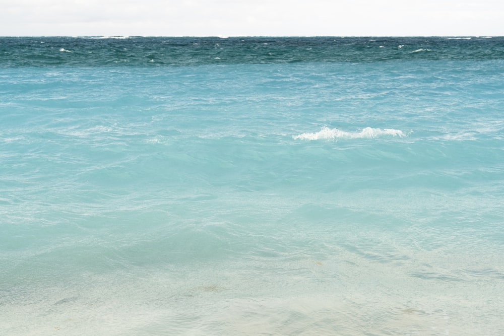 昼間の青い海水