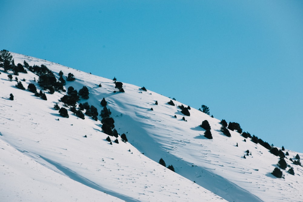 snow covered mountain under blue sky during daytime