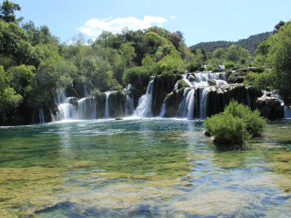 waterfalls near green trees during daytime