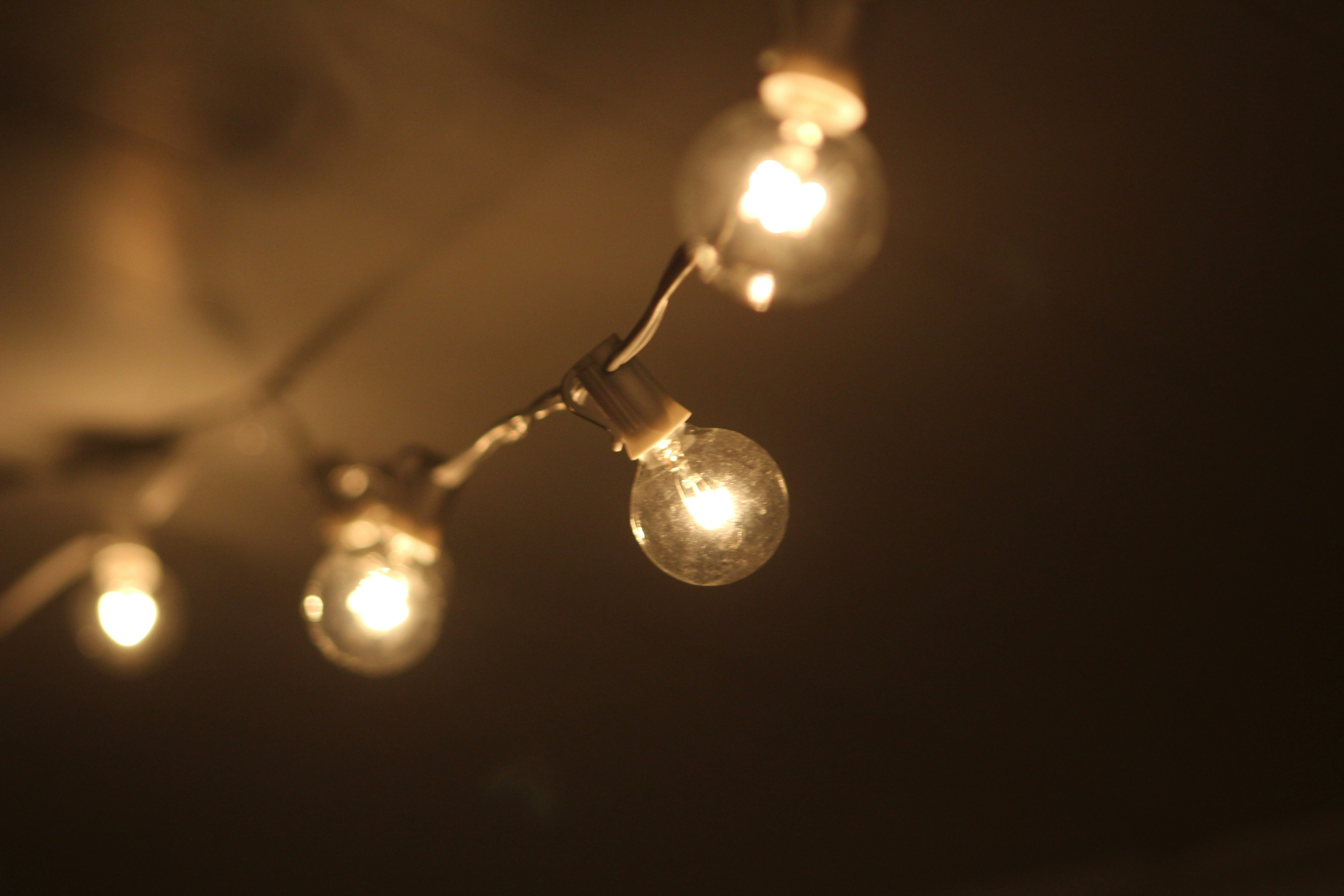 흰색과 갈색 전구