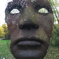 A large metal sculpture of a human face set within a natural outdoor environment. The sculpture consists of numerous small pieces that create an intricate geometric pattern on the surface. It stands prominently against a backdrop of green grass and trees, with sunlight filtering through the leaves.