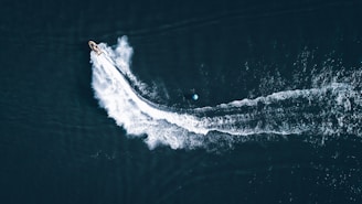white and black boat on sea during daytime