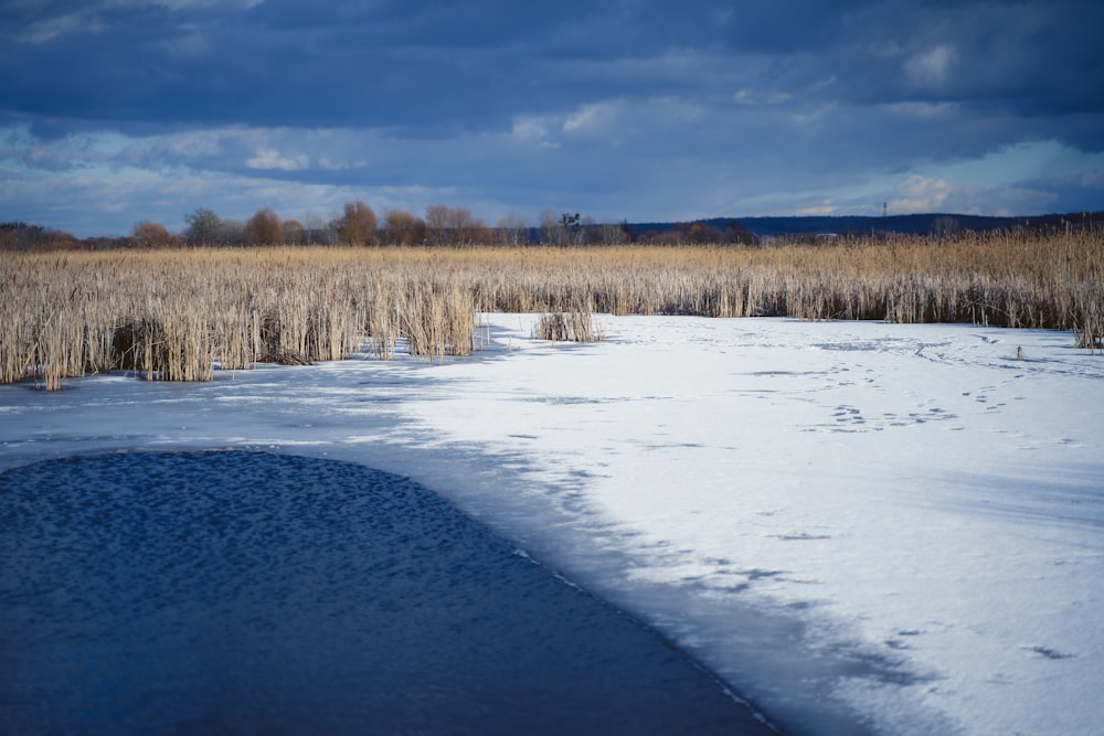 snow covered field under blue sky during daytime