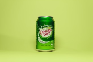 A green can of Canada Dry ginger ale is positioned against a matching pale green background. The can features branding and details such as 'Made with 100% Natural Flavors' and specifies the product type as ginger ale.