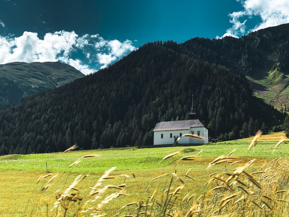 white and brown house on green grass field near mountain under blue sky during daytime