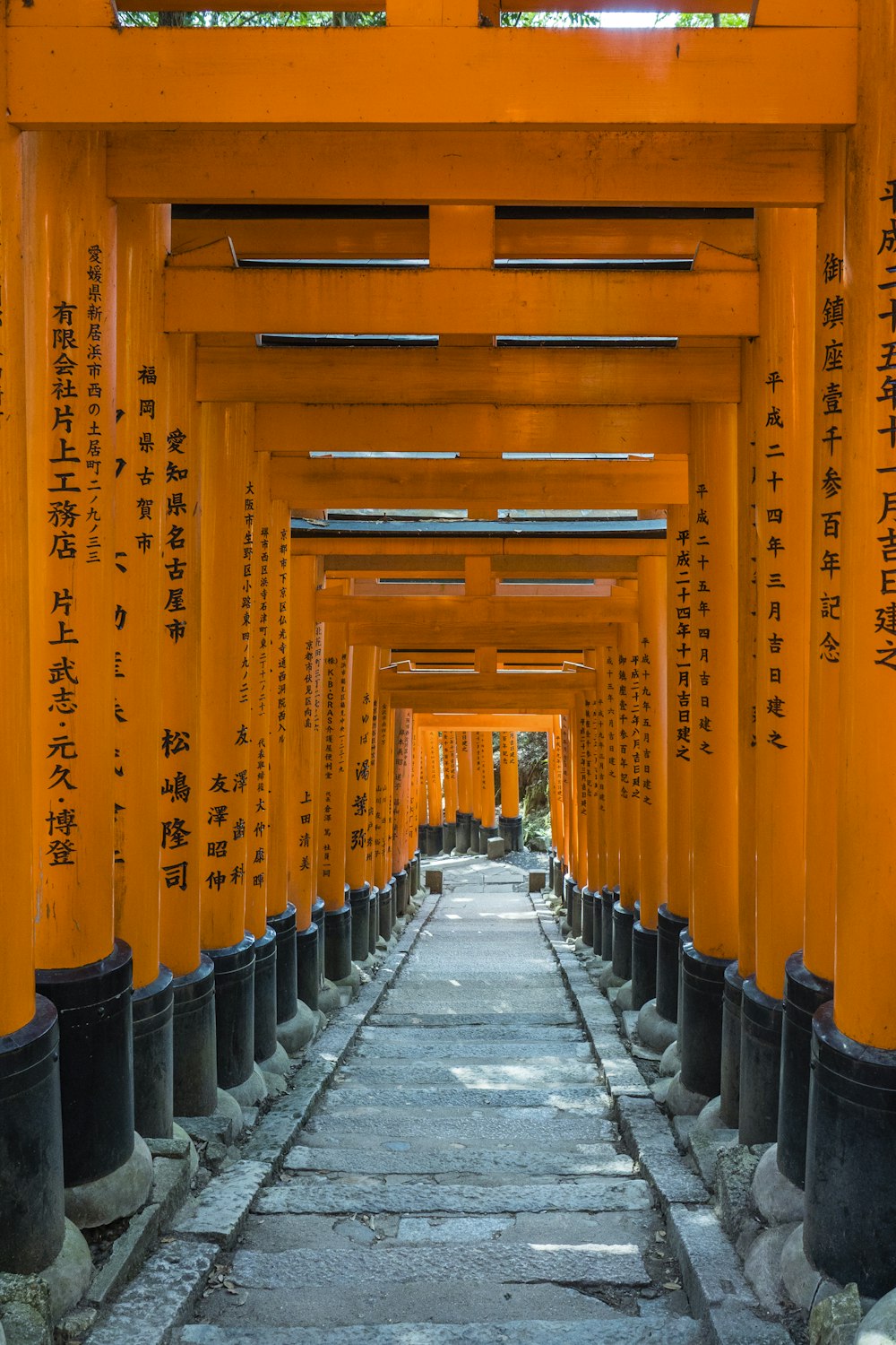 black and yellow hallway with yellow walls