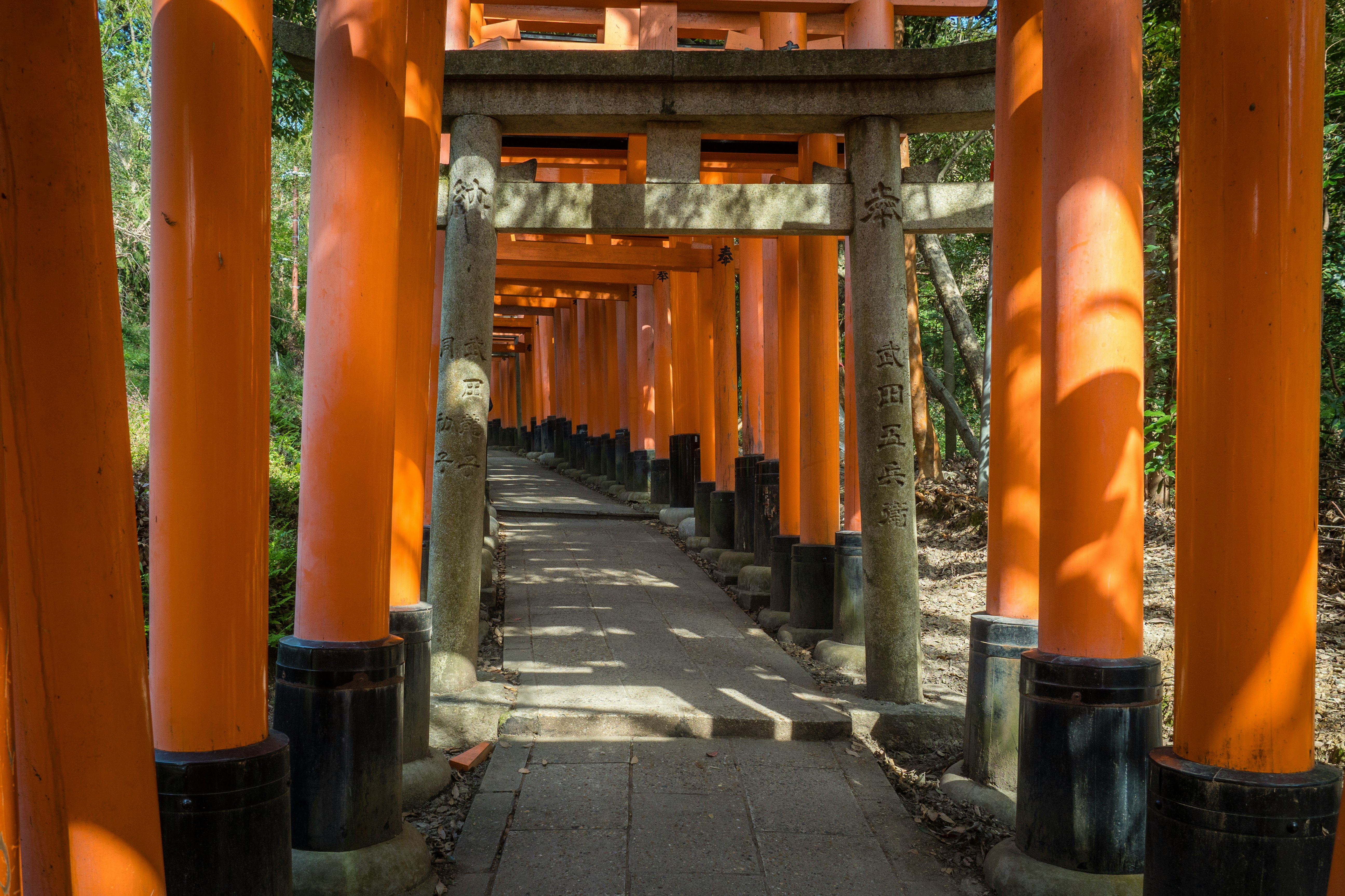 Fushimi Inari Shrine, Japan