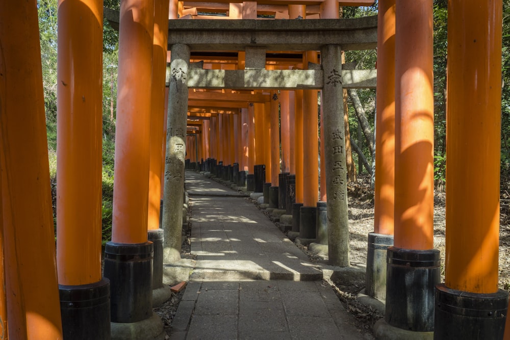 orange and black wooden bridge