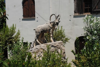 A glimpse into the goat pantheon.