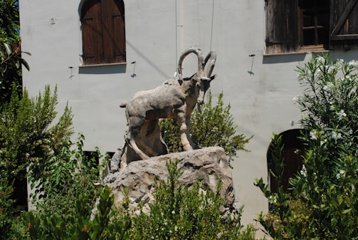 A glimpse into the goat pantheon.