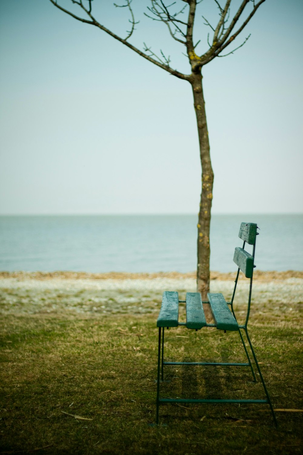 black and white camera on brown wooden stand near body of water during daytime