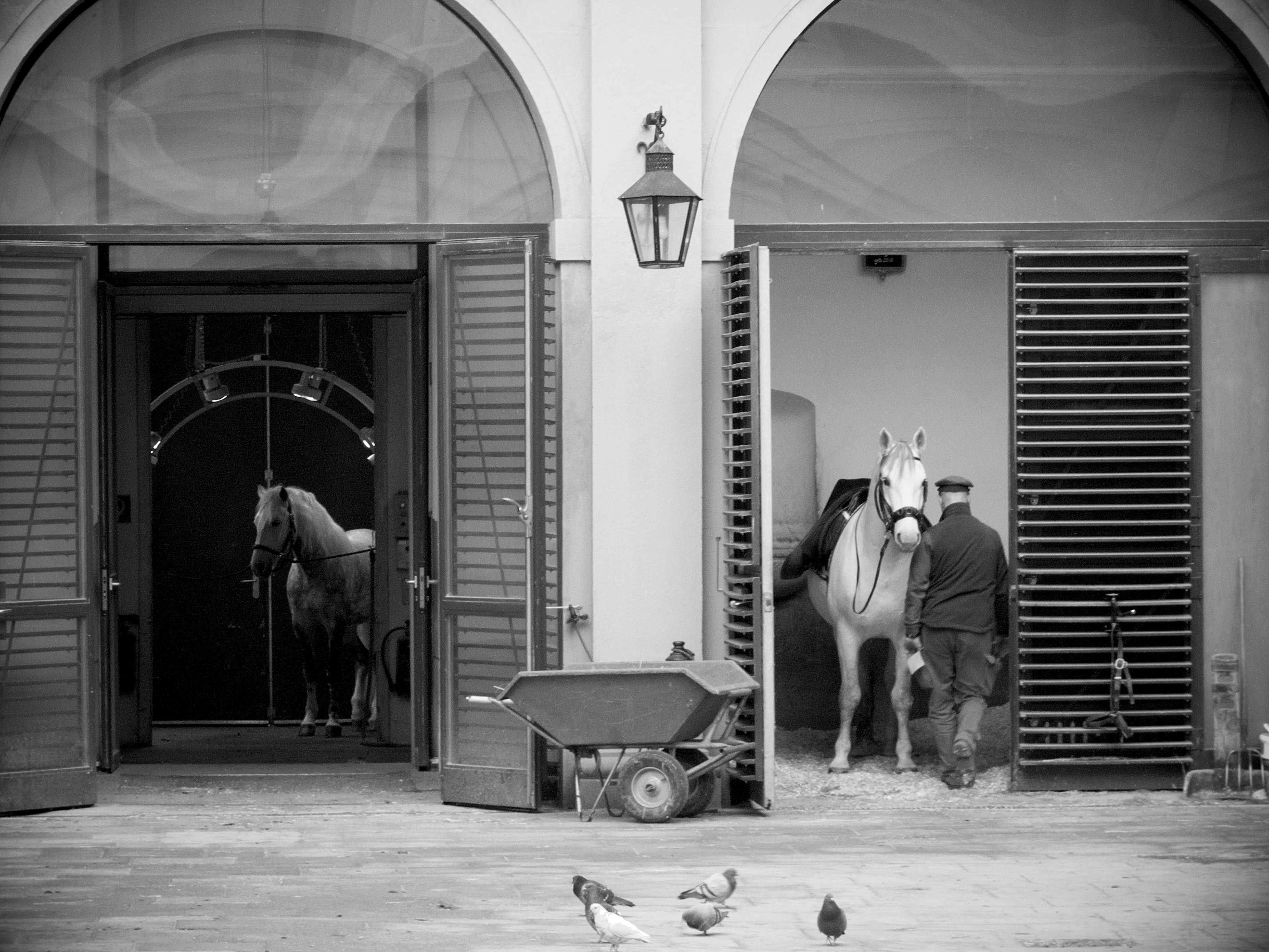 grayscale photo of man and woman walking on sidewalk