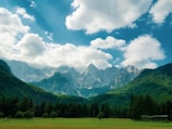 green trees and mountains under blue sky and white clouds during daytime