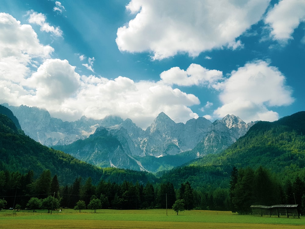 alberi e montagne verdi sotto il cielo blu e le nuvole bianche durante il giorno