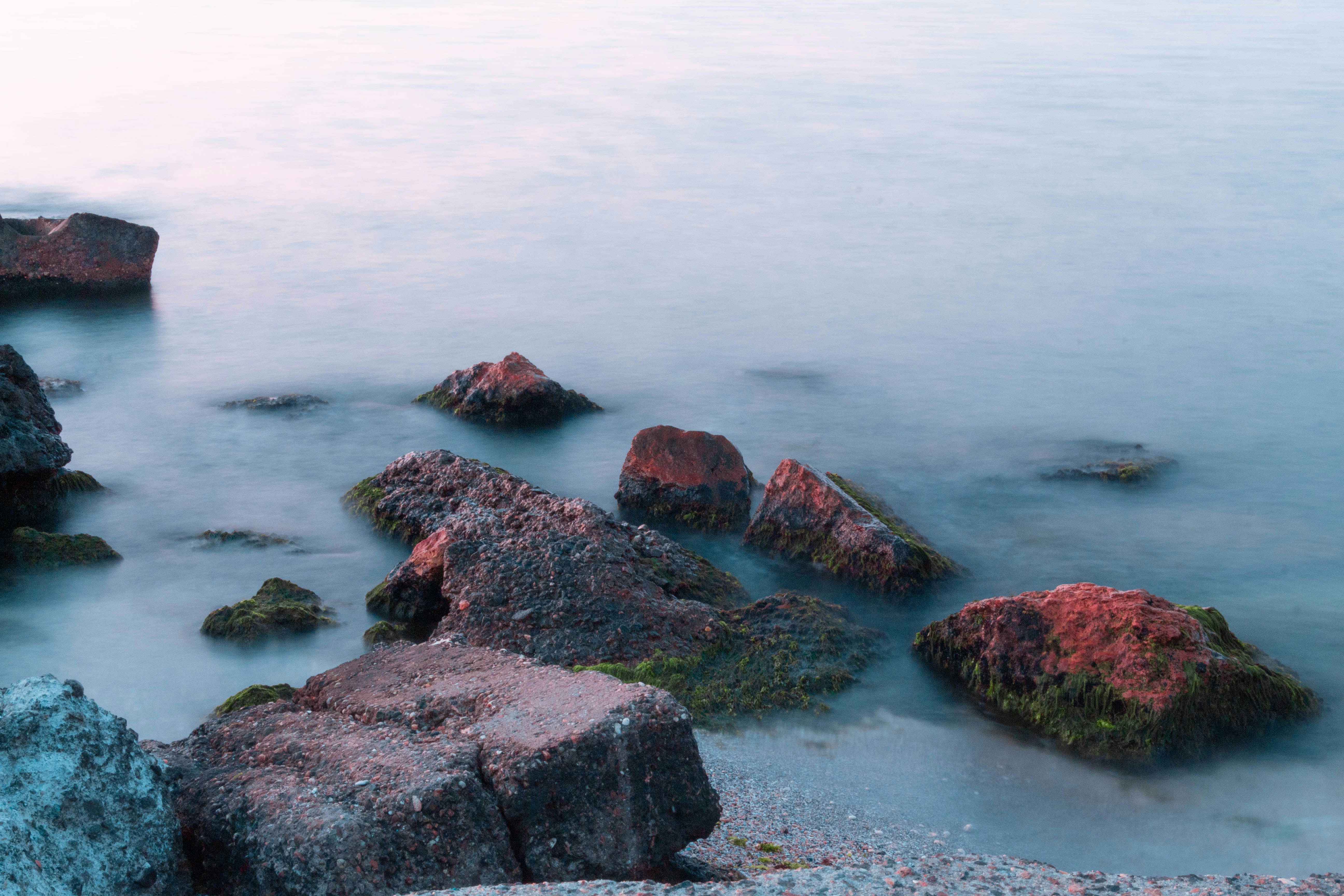 Photo by cristian_vieriu