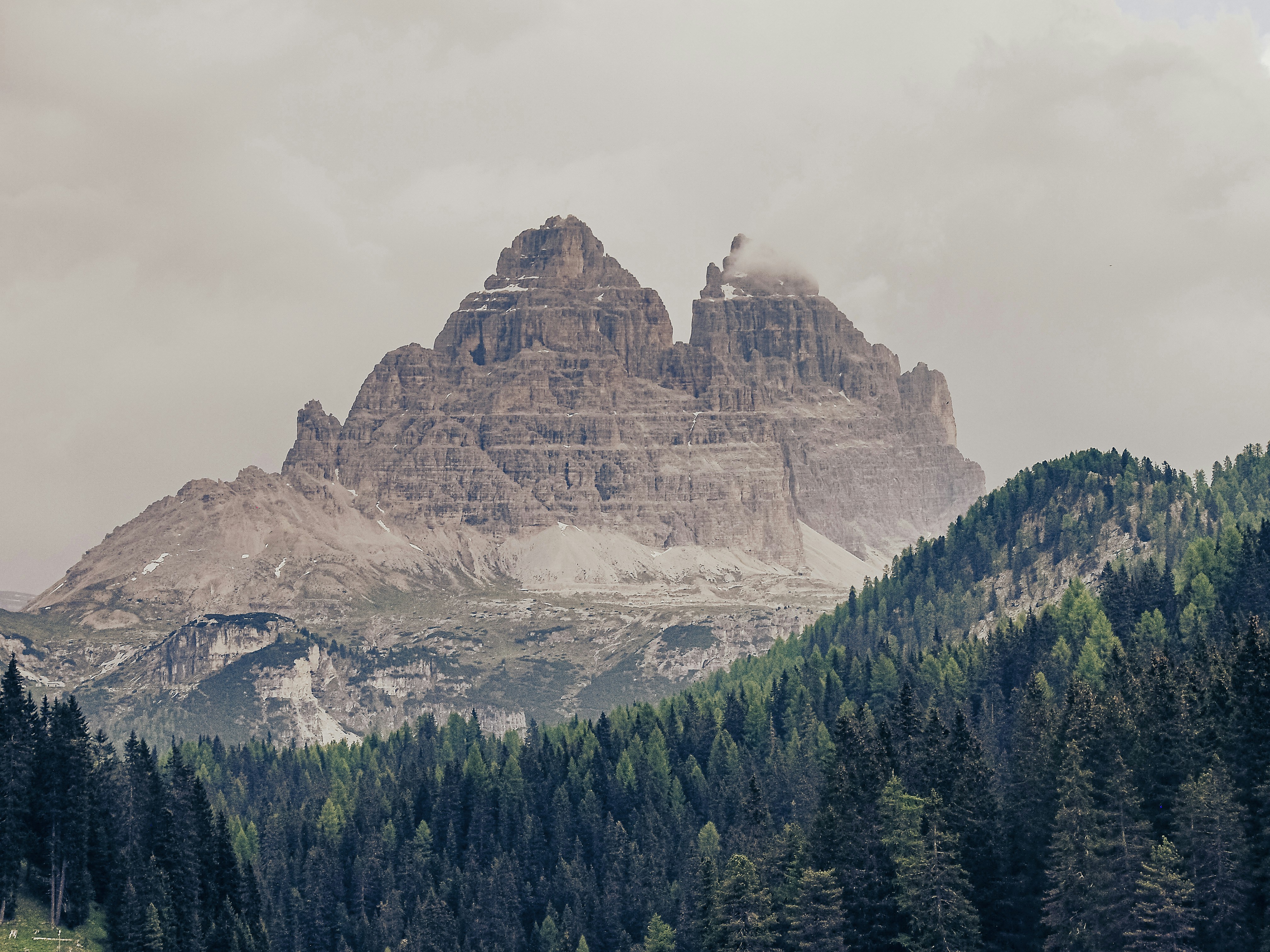 green trees near mountain during daytime