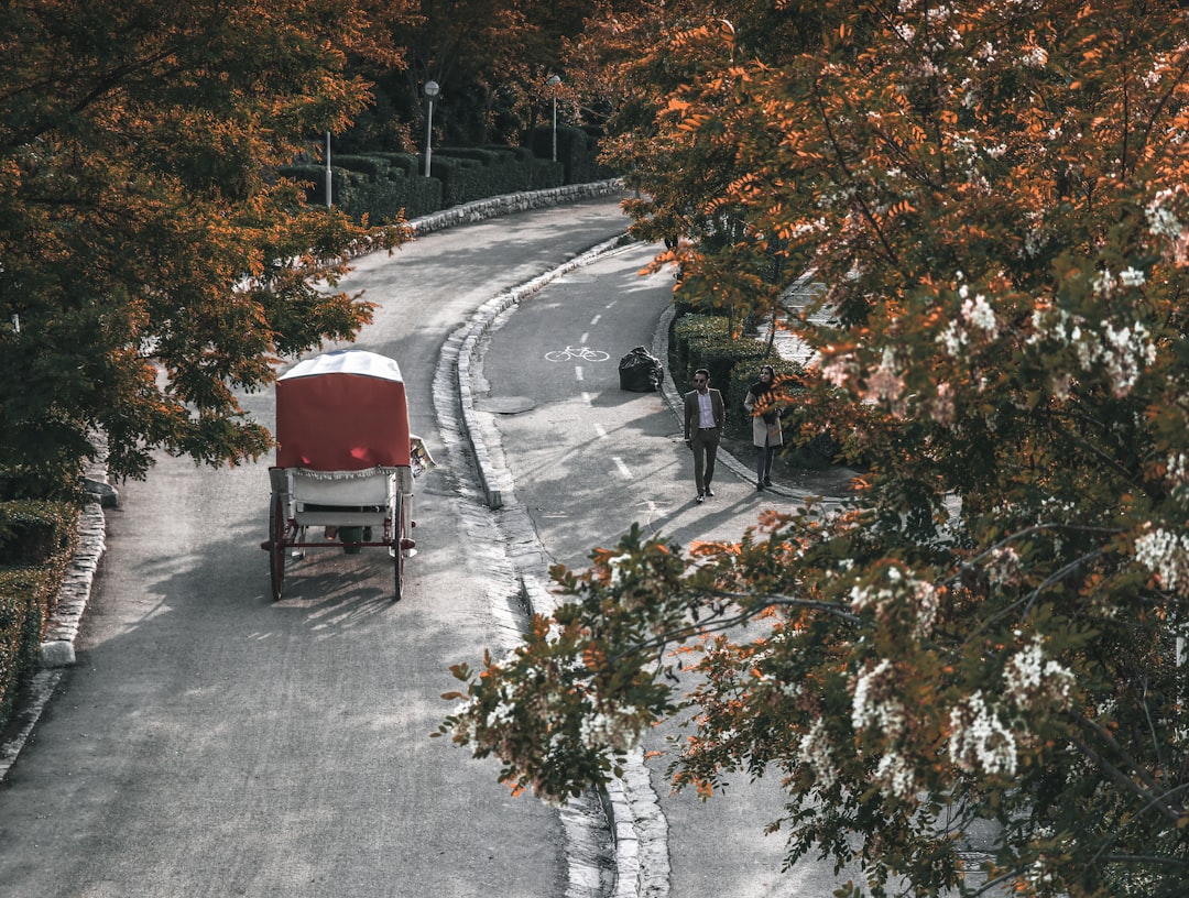 red and white wooden cart on road