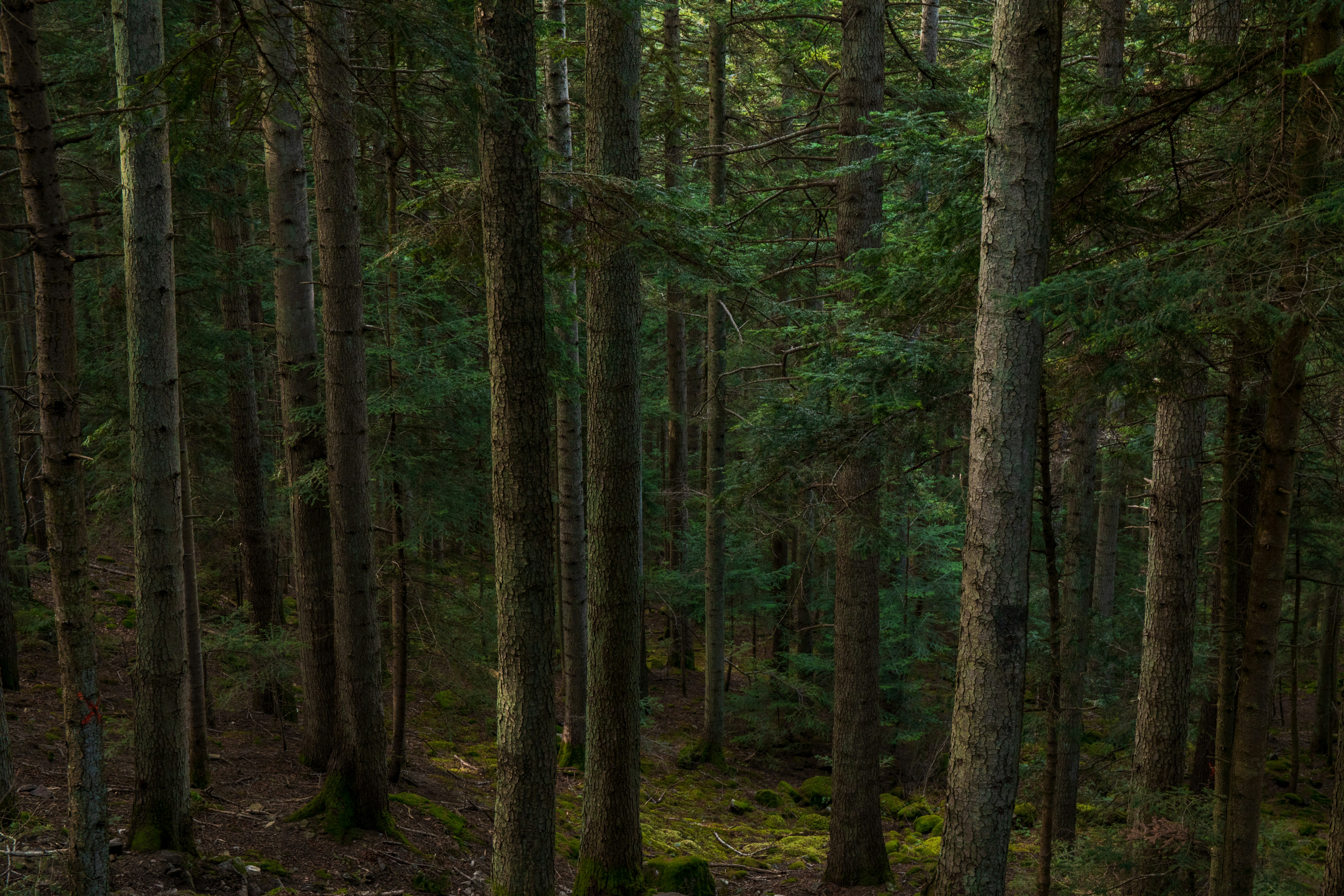 Photo by louisgaudiau