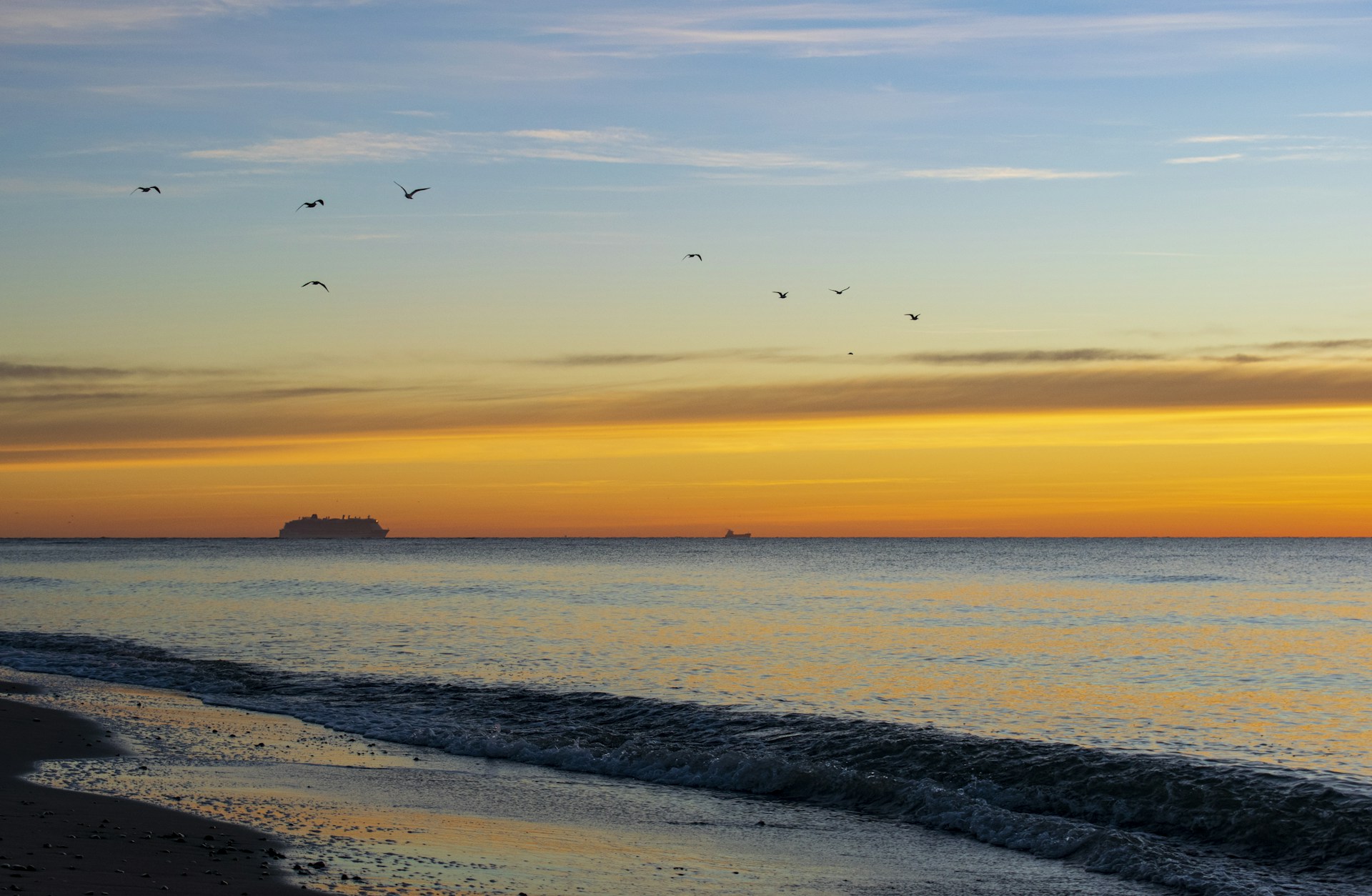 birds flying over the sea during sunset