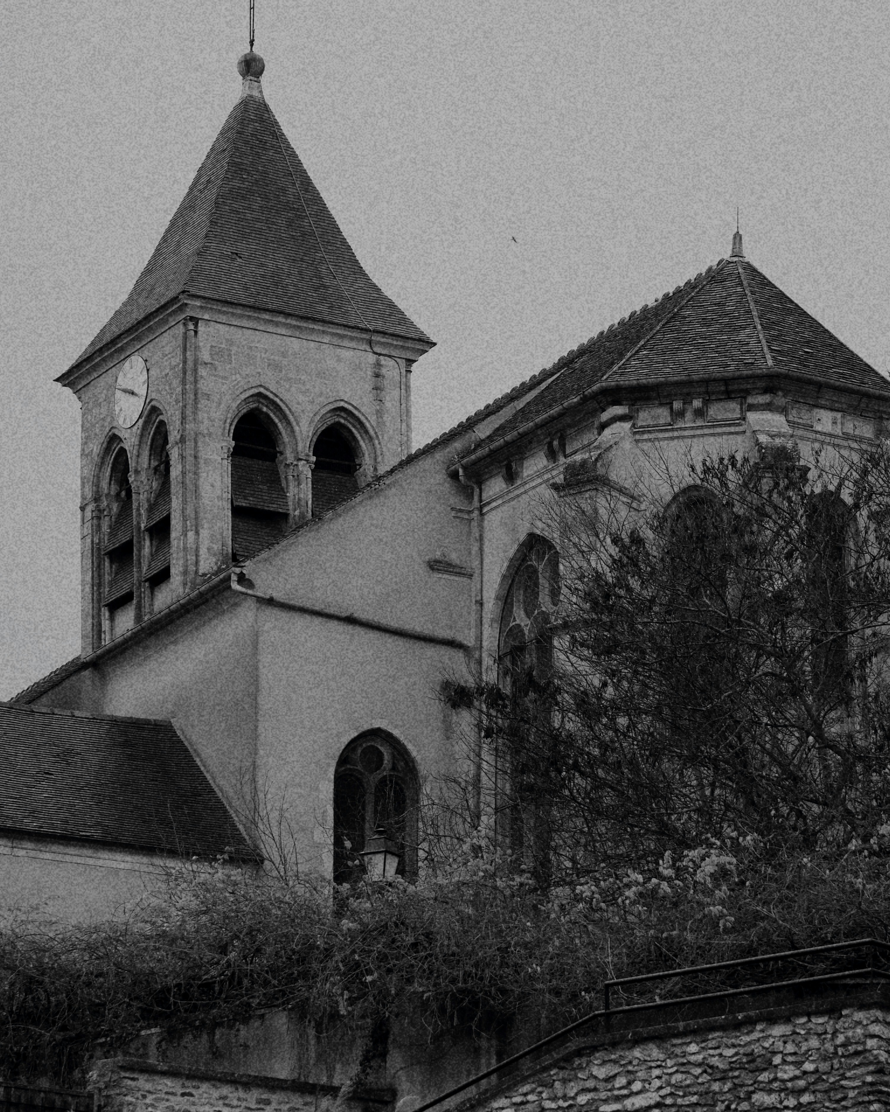 Photo by manondeshayes