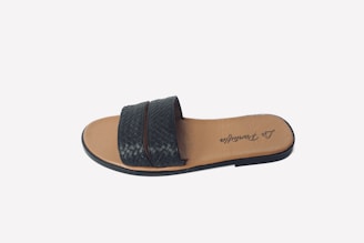 A single black and brown sandal with a woven design on the strap, featuring a flat sole and an open toe.