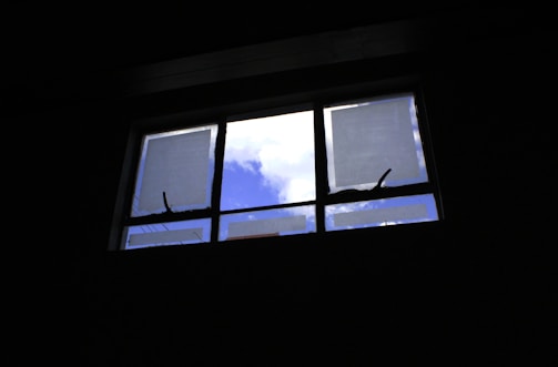 Preview pane displaying an image file with zoom and download options visible.