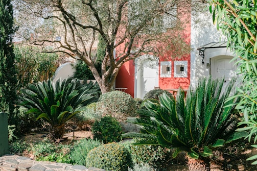 Exterior of a home styled with soft pink siding complemented by lush olive green landscaping