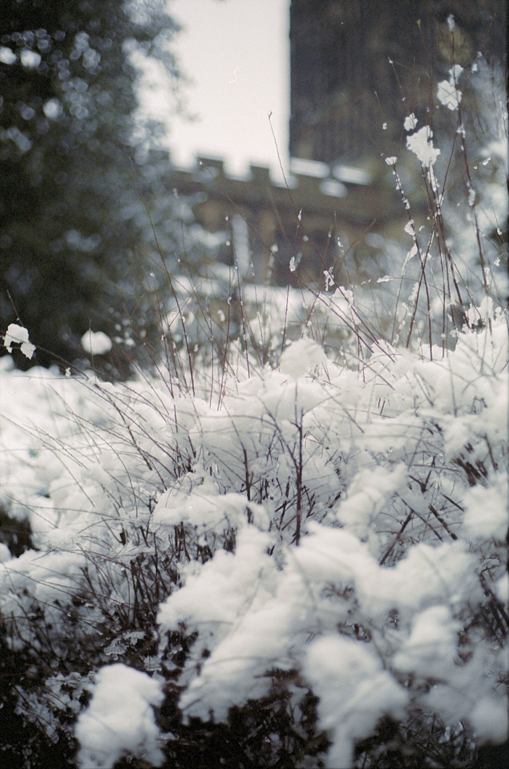 snow covered field during daytime